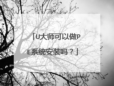 U大师可以做PE系统安装吗?
