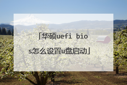 ��˶uefi bios��ô����u������