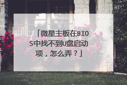 ΢��������BIOS���Ҳ���U���������ôŪ��