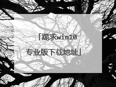 ����win10רҵ�����ص�ַ