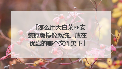 ��ô�ô�ײ�PE��װԭ�澵��ϵͳ���������̵��ĸ��ļ�����