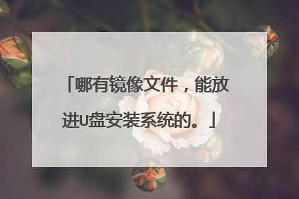 ���о����ļ����ܷŽ�U�̰�װϵͳ�ġ�