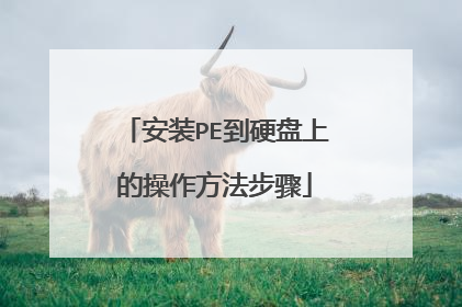 ��װPE��Ӳ���ϵĲ�����������