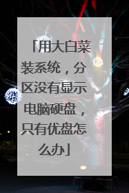 �ô�ײ�װϵͳ������û����ʾ����Ӳ�̣�ֻ��������ô��