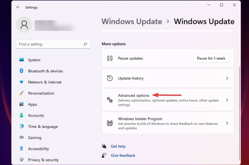  Windows11�������������