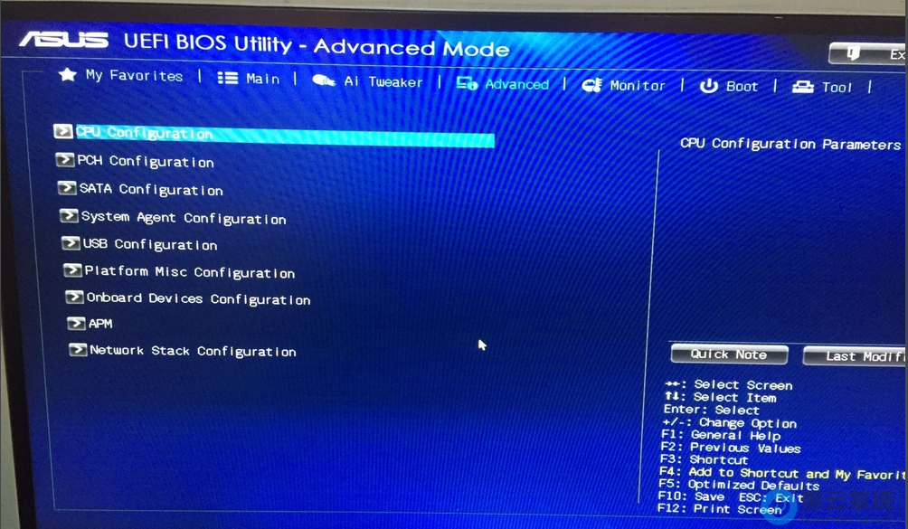 ѡ�� CPU Configuration ѡ��