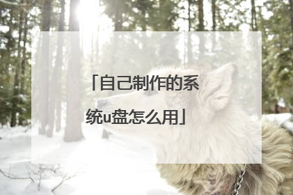 �Լ�������ϵͳu����ô��