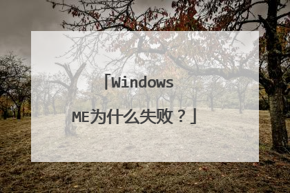 Windows MEΪʲôʧ�ܣ�