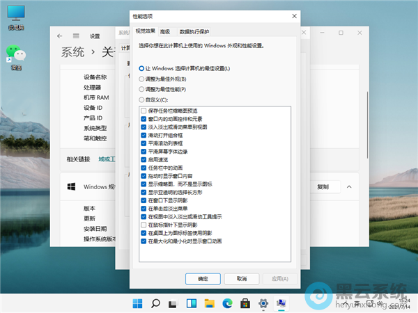 ѡ������������