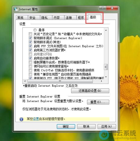 ��Internet���Խ���