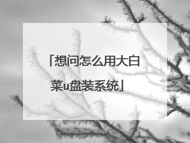 ������ô�ô�ײ�u��װϵͳ