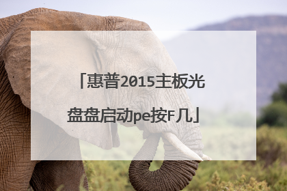 ����2015�������������pe��F��