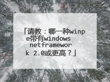 ��̣���һ��winpe����windows netframework 2.0����ߣ�