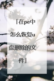 ��pe����ô�ָ�u��ɾ�����ļ�