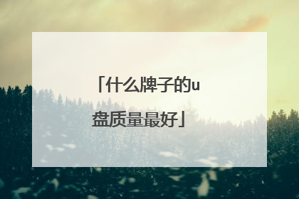 什么牌子的u盘质量最好
