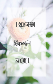 ���ɾ��pe������