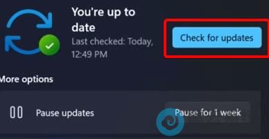 ѡ�������