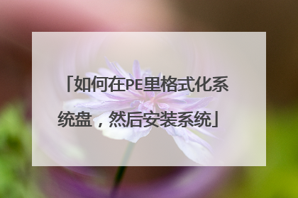 �����PE���ʽ��ϵͳ�̣�Ȼ��װϵͳ