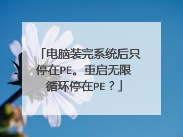 ����װ��ϵͳ��ֻͣ��PE����������ѭ��ͣ��PE��