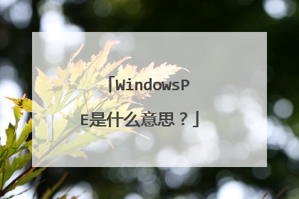 WindowsPE��ʲô��˼��