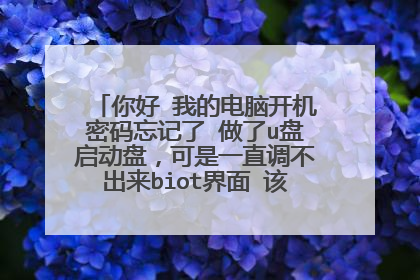你好 我的电脑开机密码忘记了 做了u盘启动盘,可是一直调不出来biot界面 该怎么办,谢谢