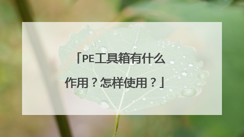 PE��������ʲô���ã�����ʹ�ã�