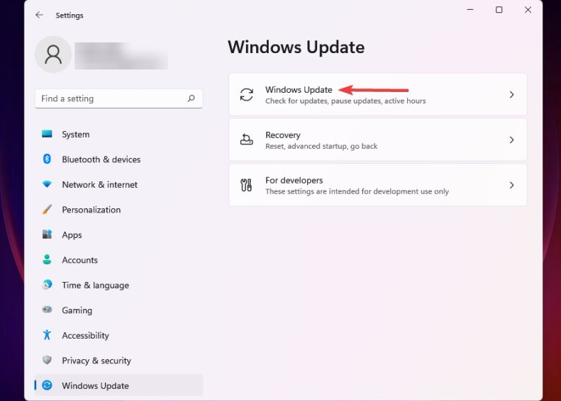  Windows11�������������
