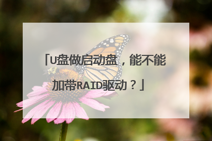 U���������̣��ܲ��ܼӴ�RAID������