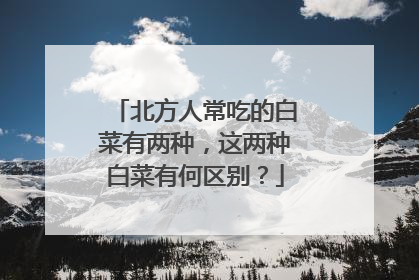 �����˳��Եİײ������֣������ְײ��к�����