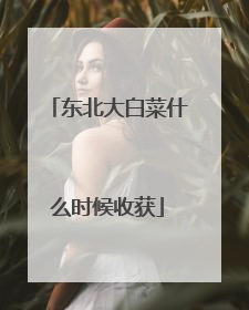 ������ײ�ʲôʱ���ջ�