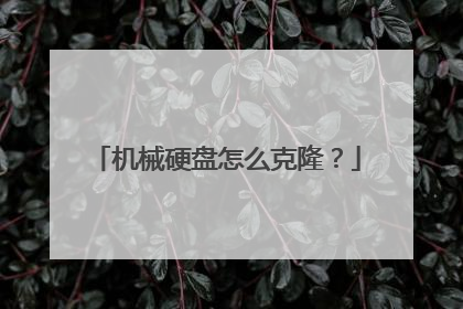 ��еӲ����ô��¡��