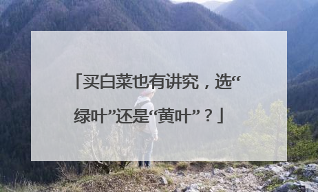 ��ײ�Ҳ�н�����ѡ����Ҷ�����ǡ���Ҷ����