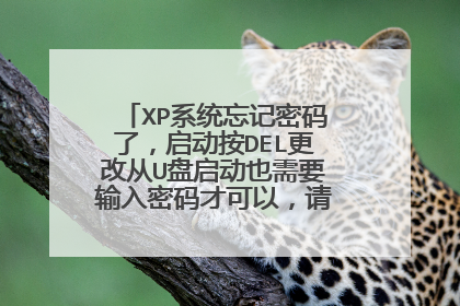 XPϵͳ���������ˣ�������DEL���Ĵ�U������Ҳ��Ҫ��������ſ��ԣ��������ȥ�����룿