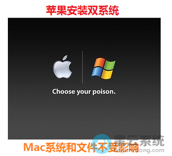 ѡ�����ϵͳ