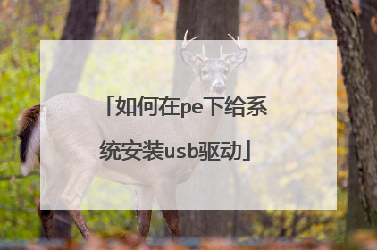 �����pe�¸�ϵͳ��װusb����