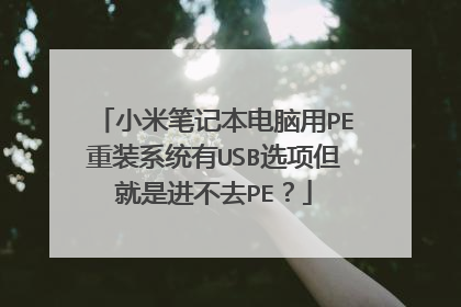 С�ױʼǱ�������PE��װϵͳ��USBѡ����ǽ���ȥPE��