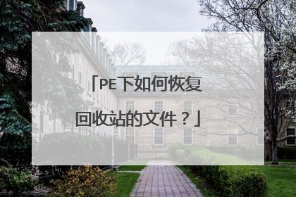 PE����λָ�����վ���ļ���