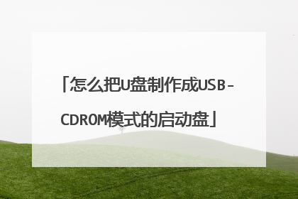 ��ô��U��������USB-CDROMģʽ��������