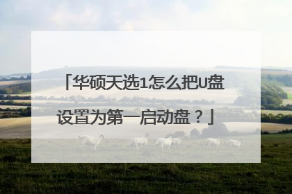 ��˶��ѡ1��ô��U������Ϊ��һ�����̣�