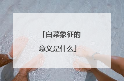 �ײ�������������ʲô