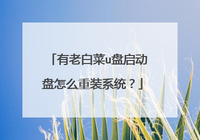 ���ϰײ�u����������ô��װϵͳ��