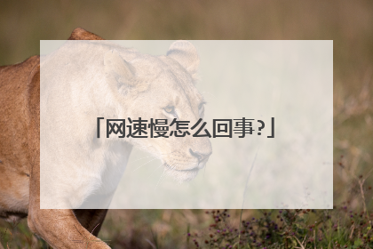 ��������ô����?