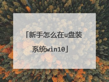 ������ô��u��װϵͳwin10