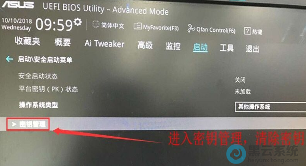 ������Կ���������Կ