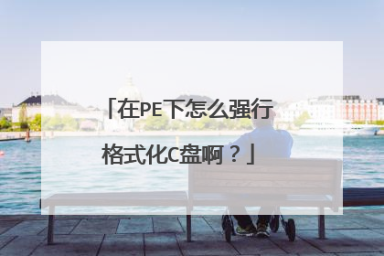 ��PE����ôǿ�и�ʽ��C�̰���