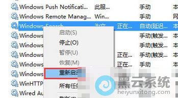 ѡ����������