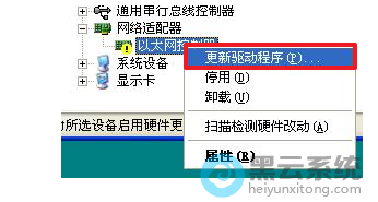 ѡ�������������