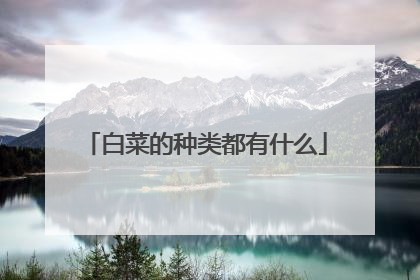 �ײ˵����඼��ʲô