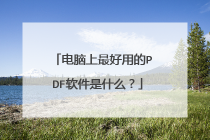 ����������õ�PDF������ʲô��