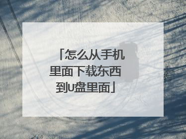 ��ô���ֻ��������ض�����U������